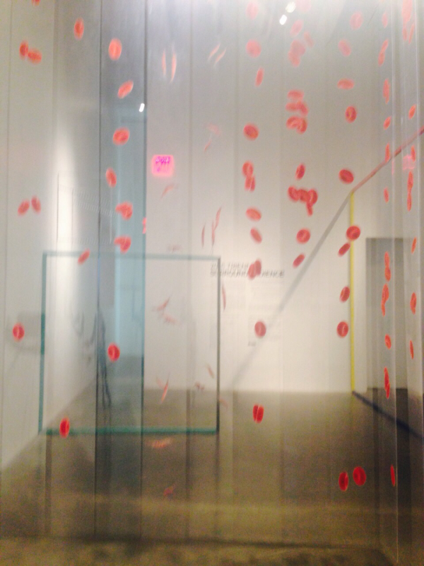 PATI NUNEZ AGENCY - NEW MUSEUM NEW YORK